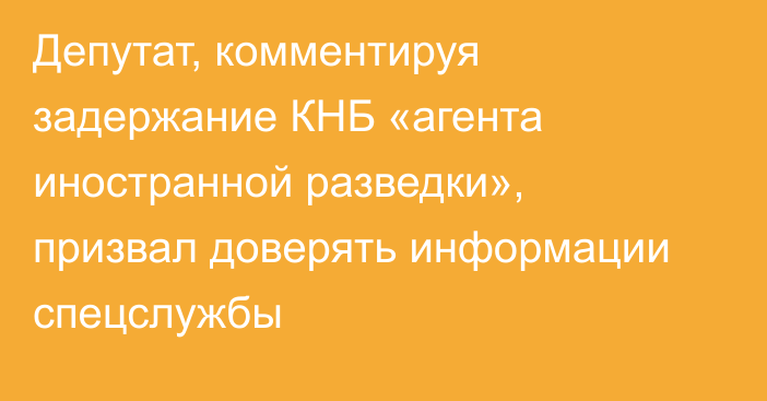 Депутат, комментируя задержание КНБ «агента иностранной разведки», призвал доверять информации спецслужбы