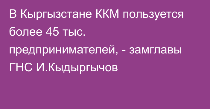 В Кыргызстане ККМ пользуется более 45 тыс. предпринимателей, - замглавы ГНС И.Кыдыргычов