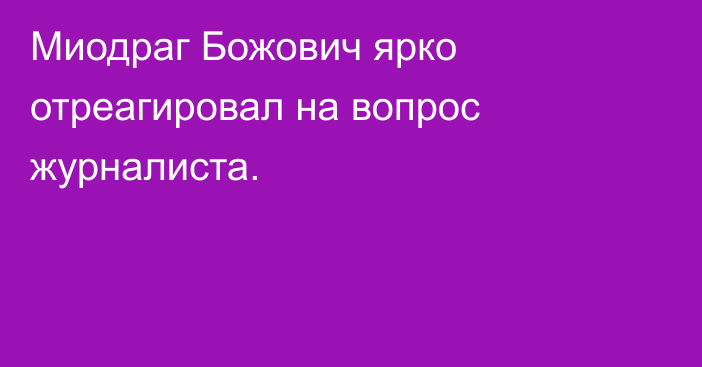 Миодраг Божович ярко отреагировал на вопрос журналиста.