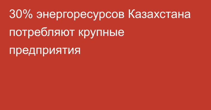 30% энергоресурсов Казахстана потребляют крупные предприятия