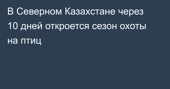 В Северном Казахстане через 10 дней откроется сезон охоты на птиц