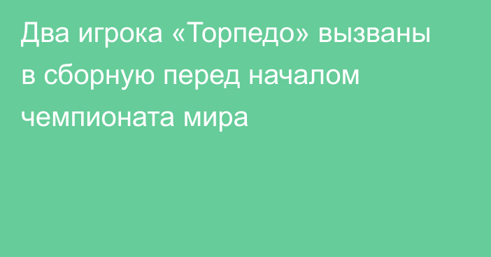 Два игрока «Торпедо» вызваны в сборную перед началом чемпионата мира