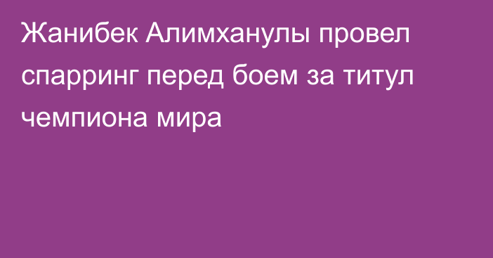 Жанибек Алимханулы провел спарринг перед боем за титул чемпиона мира