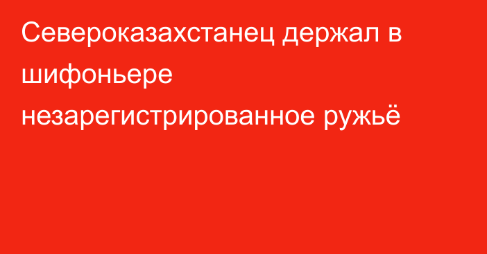 Североказахстанец держал в шифоньере незарегистрированное ружьё