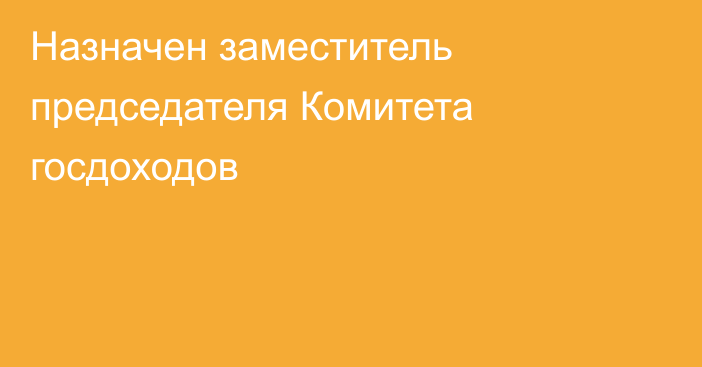 Назначен заместитель председателя Комитета госдоходов