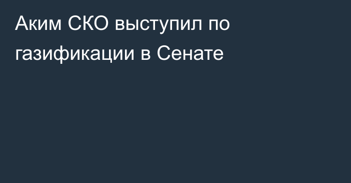 Аким СКО выступил по газификации в Сенате