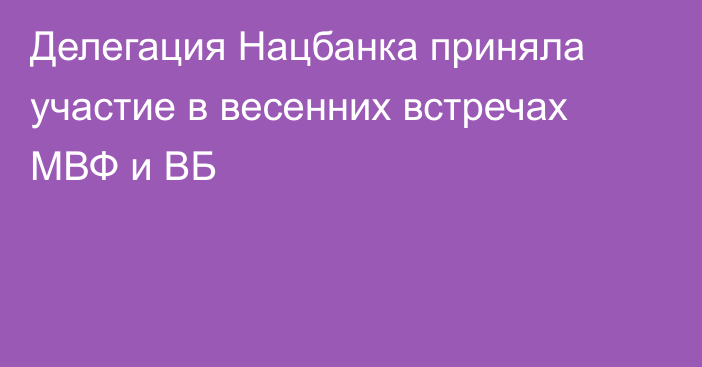 Делегация Нацбанка приняла участие в весенних встречах МВФ и ВБ