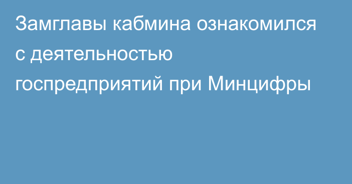 Замглавы кабмина ознакомился с деятельностью госпредприятий при Минцифры