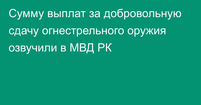 Сумму выплат за добровольную сдачу огнестрельного оружия озвучили в МВД РК