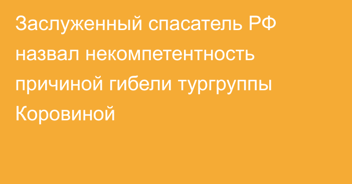 Заслуженный спасатель РФ назвал некомпетентность причиной гибели тургруппы Коровиной