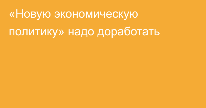 «Новую экономическую политику» надо доработать