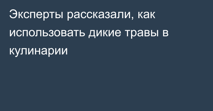 Эксперты рассказали, как использовать дикие травы в кулинарии