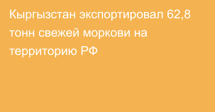 Кыргызстан экспортировал 62,8 тонн свежей моркови на территорию РФ