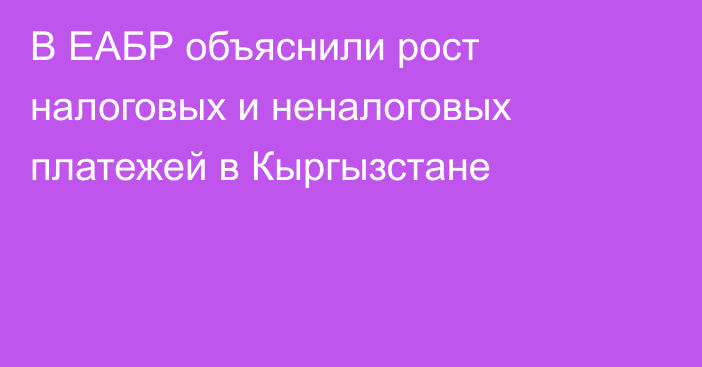 В ЕАБР объяснили рост налоговых и неналоговых платежей в Кыргызстане