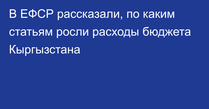 В ЕФСР рассказали, по каким статьям росли расходы бюджета Кыргызстана