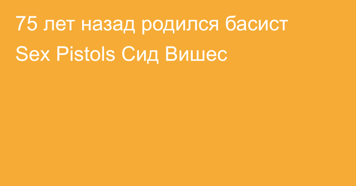 75 лет назад родился басист Sex Pistols Сид Вишес