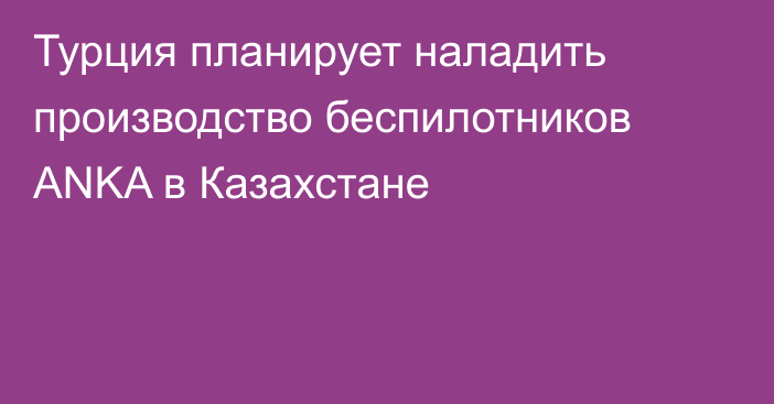 Турция планирует наладить производство беспилотников ANKA в Казахстане