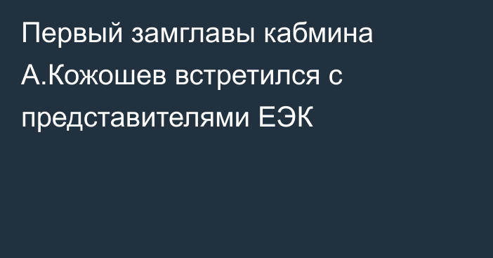 Первый замглавы кабмина А.Кожошев встретился с представителями ЕЭК