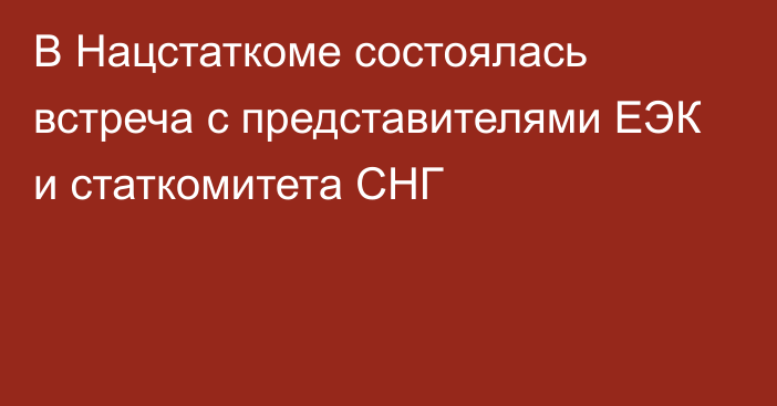 В Нацстаткоме состоялась встреча с представителями ЕЭК и статкомитета СНГ