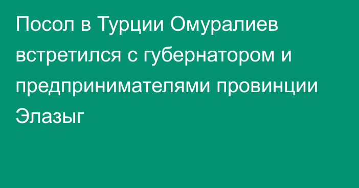 Посол в Турции Омуралиев встретился с губернатором и предпринимателями провинции Элазыг