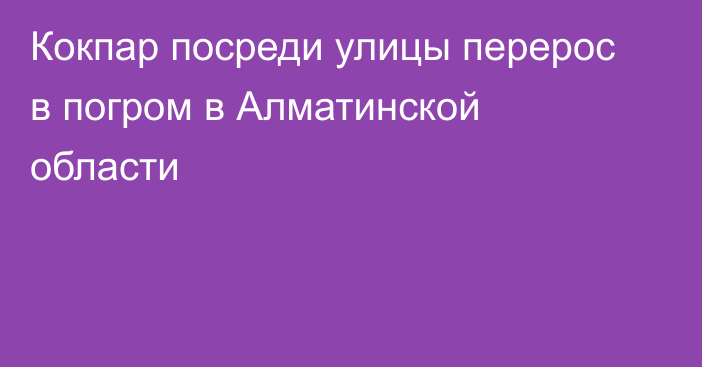 Кокпар посреди улицы перерос в погром в Алматинской области