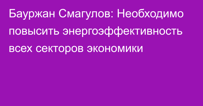 Бауржан Смагулов: Необходимо повысить энергоэффективность всех секторов экономики