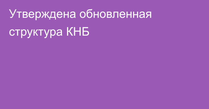 Утверждена обновленная структура КНБ