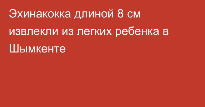 Эхинакокка длиной 8 см извлекли из легких ребенка в Шымкенте