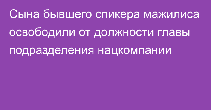 Сына бывшего спикера мажилиса освободили от должности главы подразделения нацкомпании