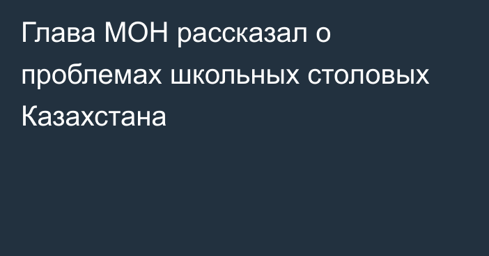 Глава МОН рассказал о проблемах школьных столовых Казахстана