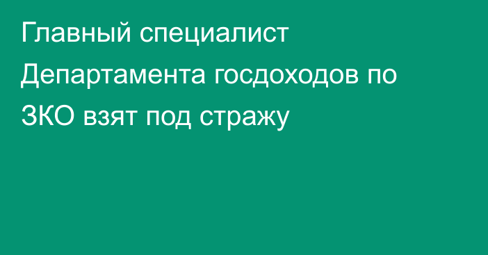 Главный специалист Департамента госдоходов по ЗКО взят под стражу