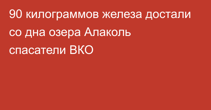 90 килограммов железа достали со дна озера Алаколь спасатели ВКО