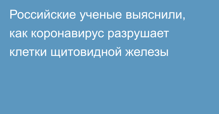 Российские ученые выяснили, как коронавирус разрушает клетки щитовидной железы