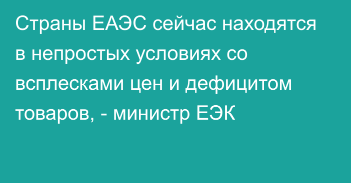 Страны ЕАЭС сейчас находятся в непростых условиях со всплесками цен и дефицитом товаров, - министр ЕЭК