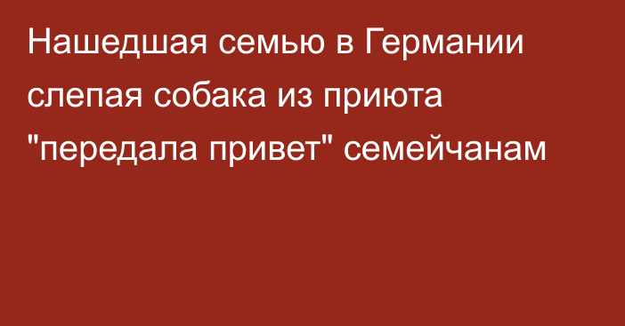 Нашедшая семью в Германии слепая собака из приюта 