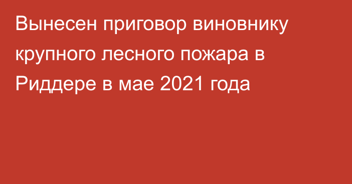 Вынесен приговор виновнику крупного лесного пожара в Риддере в мае 2021 года