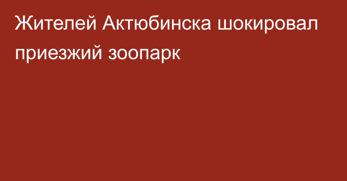 Жителей Актюбинска шокировал приезжий зоопарк