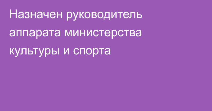 Назначен руководитель аппарата министерства культуры и спорта