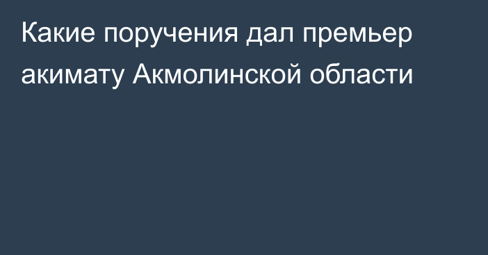 Какие поручения дал премьер акимату Акмолинской области