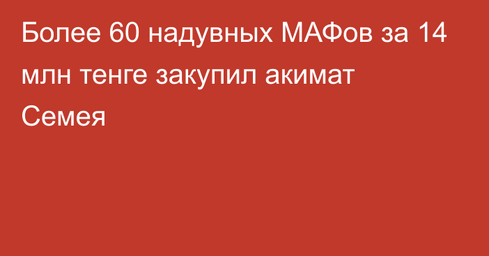 Более 60 надувных МАФов за 14 млн тенге закупил акимат Семея