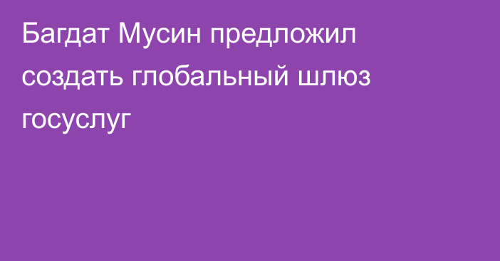 Багдат Мусин предложил создать глобальный шлюз госуслуг