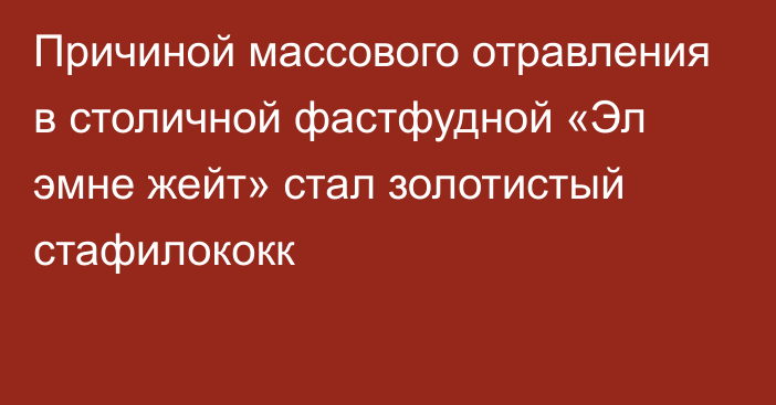 Причиной массового отравления в столичной фастфудной «Эл эмне жейт» стал золотистый стафилококк