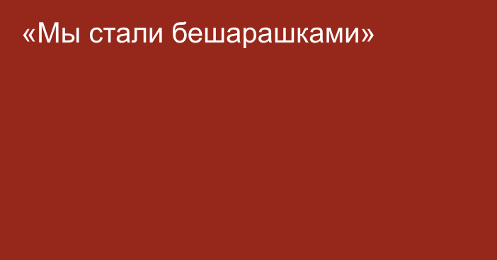 «Мы стали бешарашками»