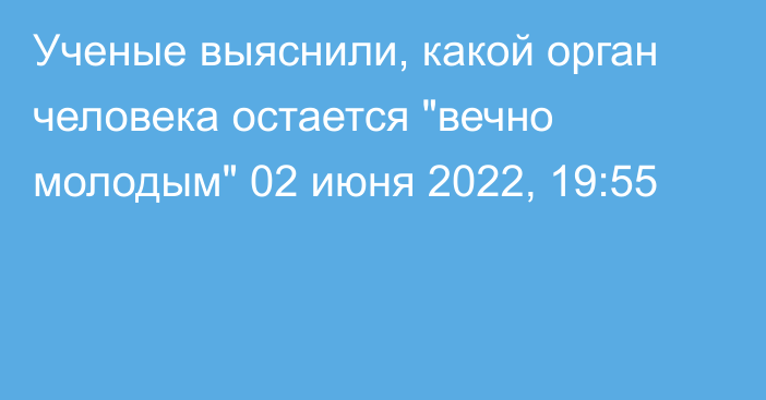 Ученые выяснили, какой орган человека остается 