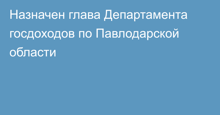 Назначен глава Департамента госдоходов по Павлодарской области