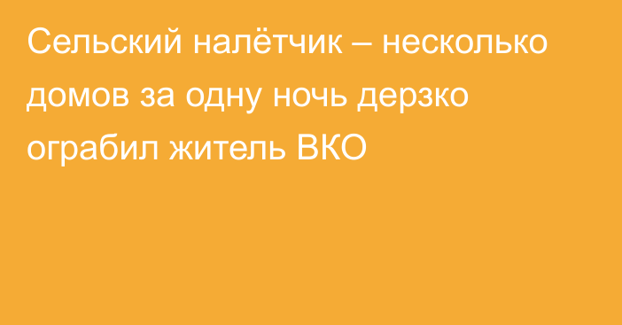 Сельский налётчик – несколько домов за одну ночь дерзко ограбил житель ВКО