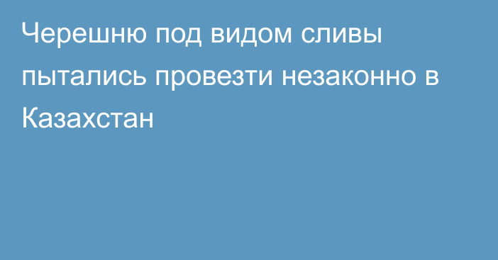 Черешню под видом сливы пытались провезти незаконно в Казахстан