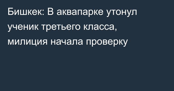 Бишкек: В аквапарке утонул ученик третьего класса, милиция начала проверку