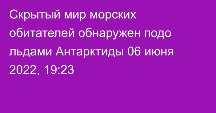 Скрытый мир морских обитателей обнаружен подо льдами Антарктиды
                06 июня 2022, 19:23