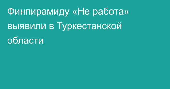 Финпирамиду «Не работа» выявили в Туркестанской области